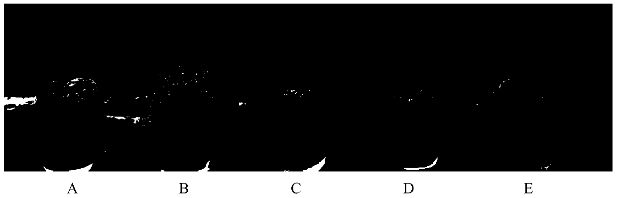 A kind of nano composition with anti-acne effect and its cosmetic or skin care product