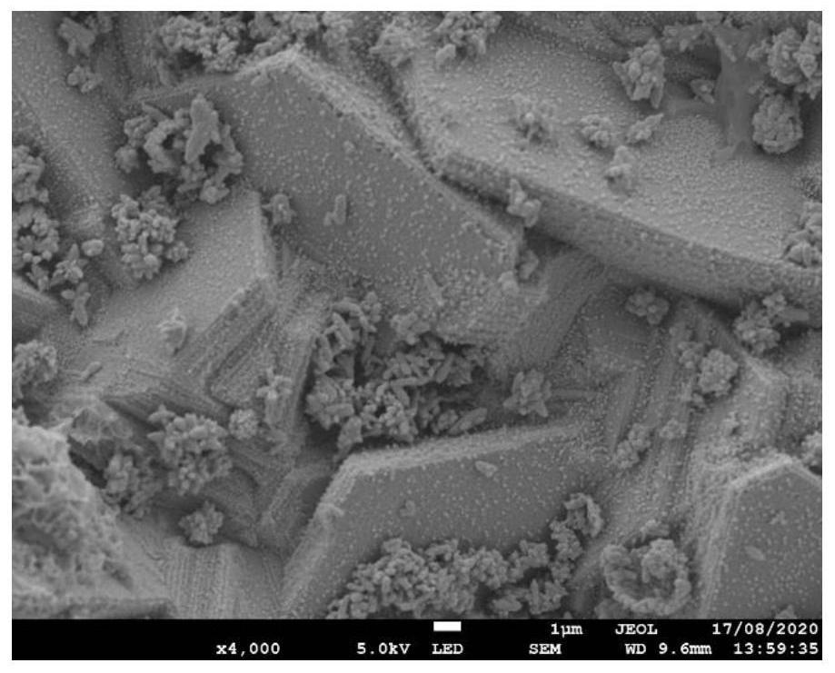 Three-dimensional current collector/Zn/Zn-E composite negative electrode, preparation thereof and application of composite negative electrode in aqueous zinc ion battery