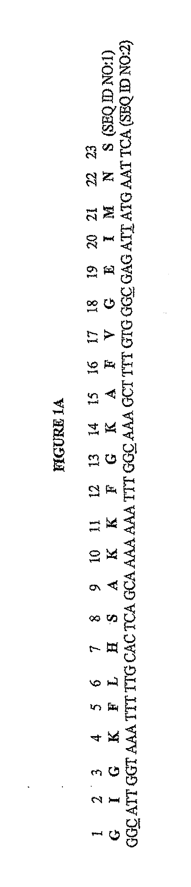 Methods and compositions for increasing membrane permeability