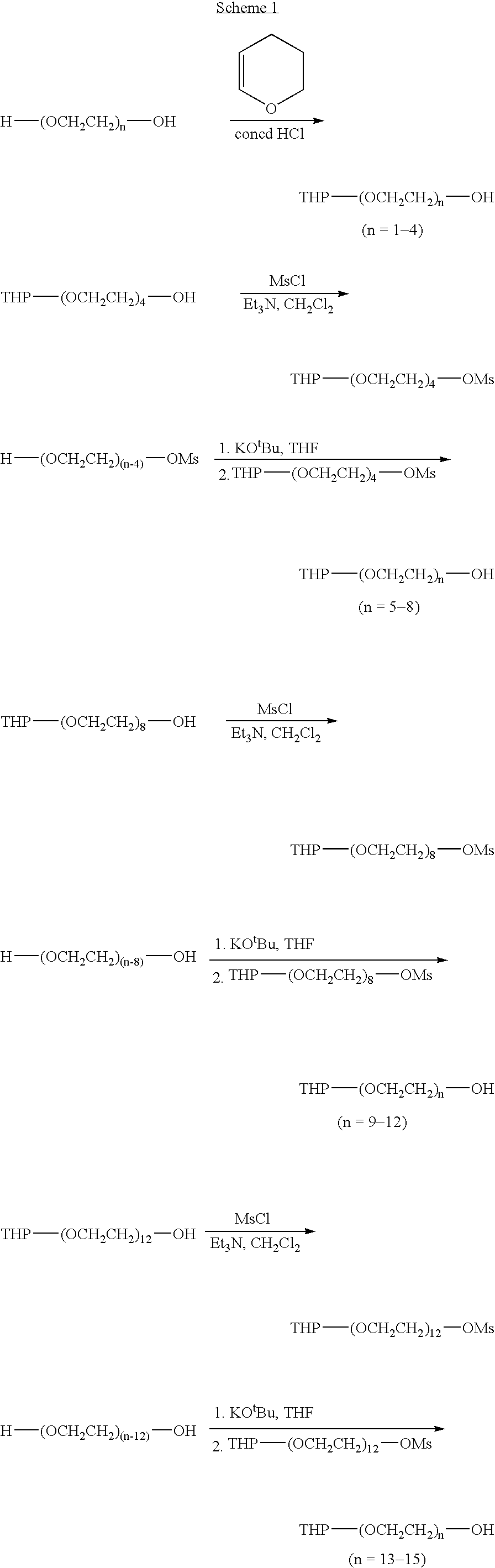 Combinatorial synthesis of PEG oligomer libraries