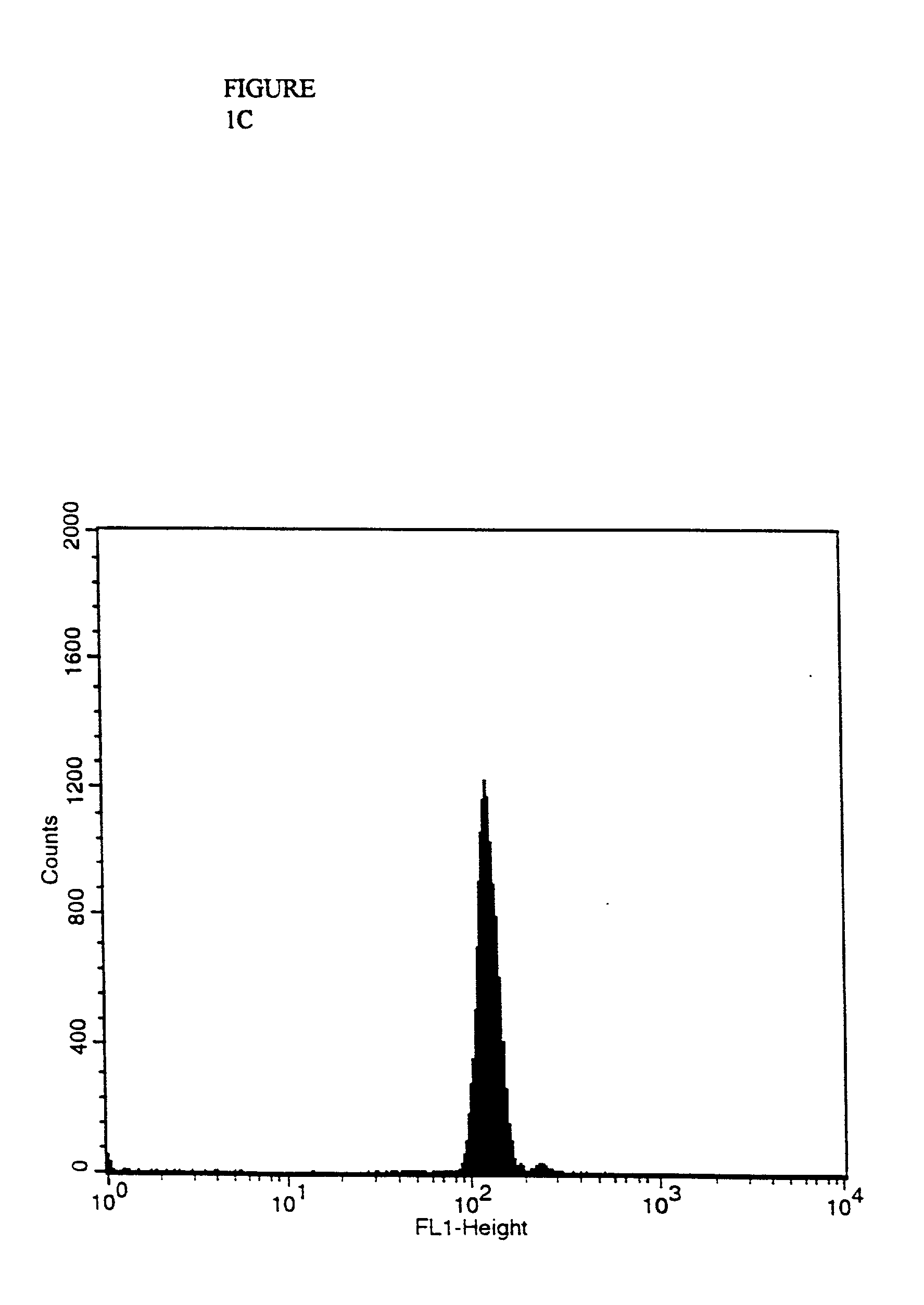 Purification of antigen-specific t cells