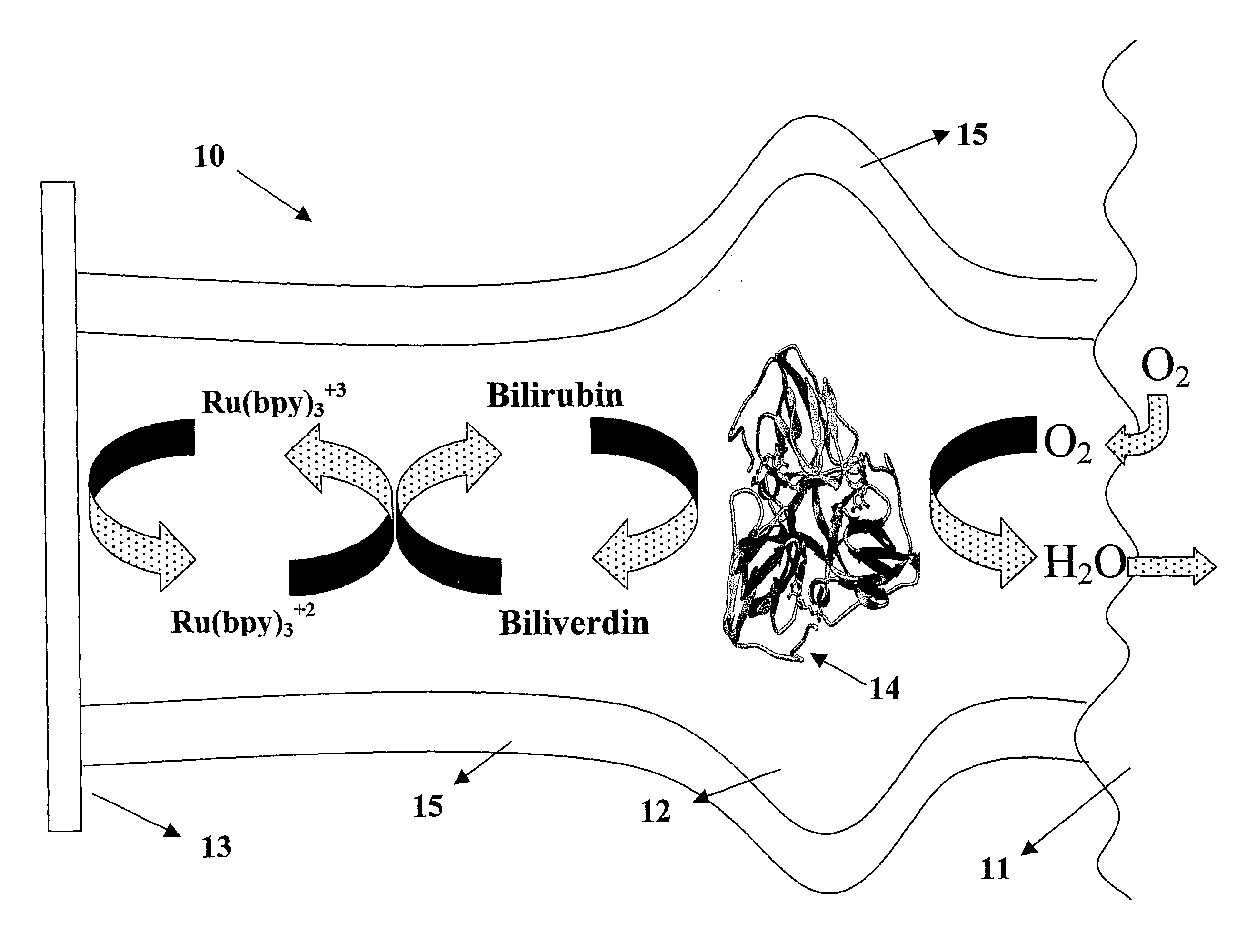 Microfluidic biofuel cell