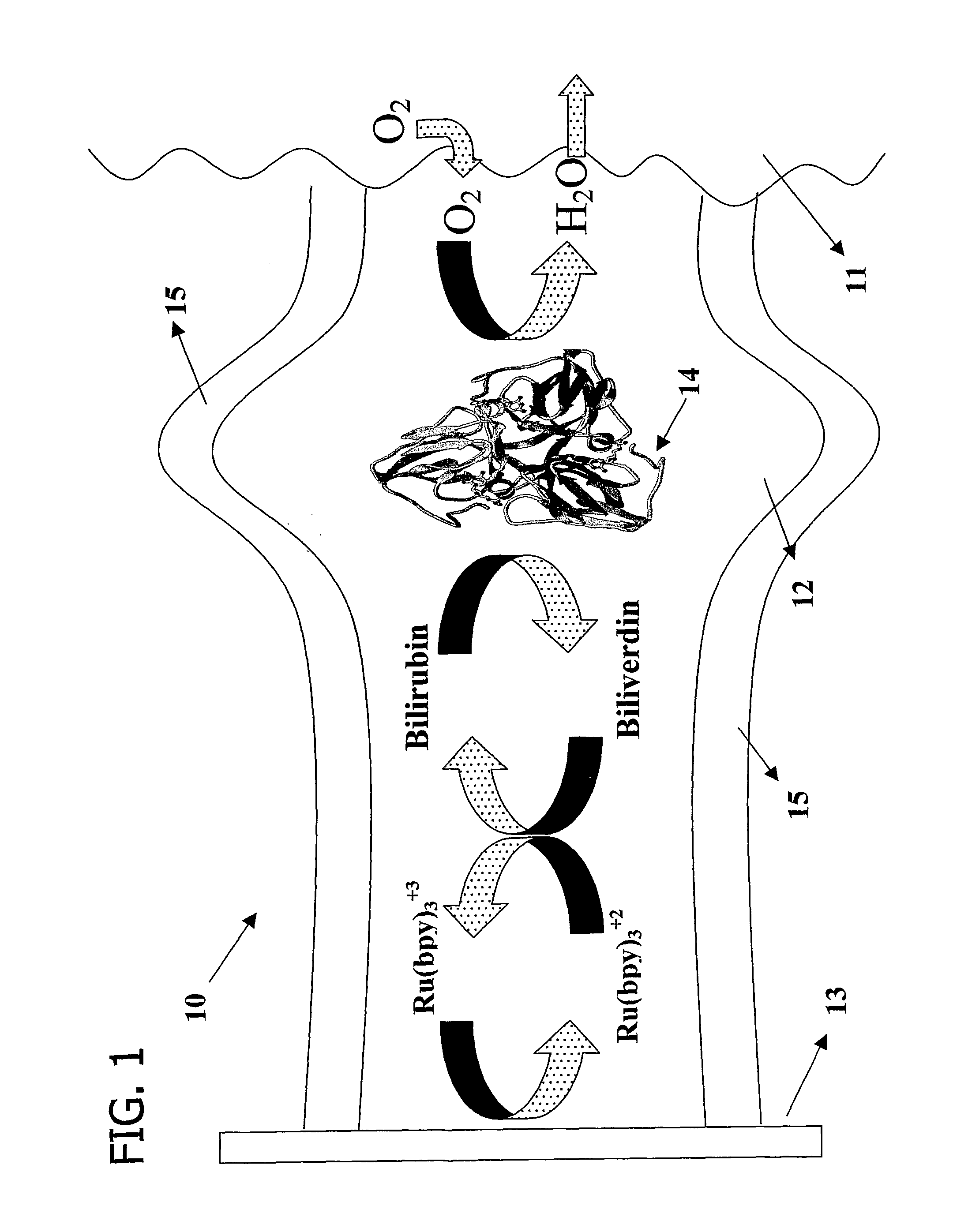 Microfluidic biofuel cell