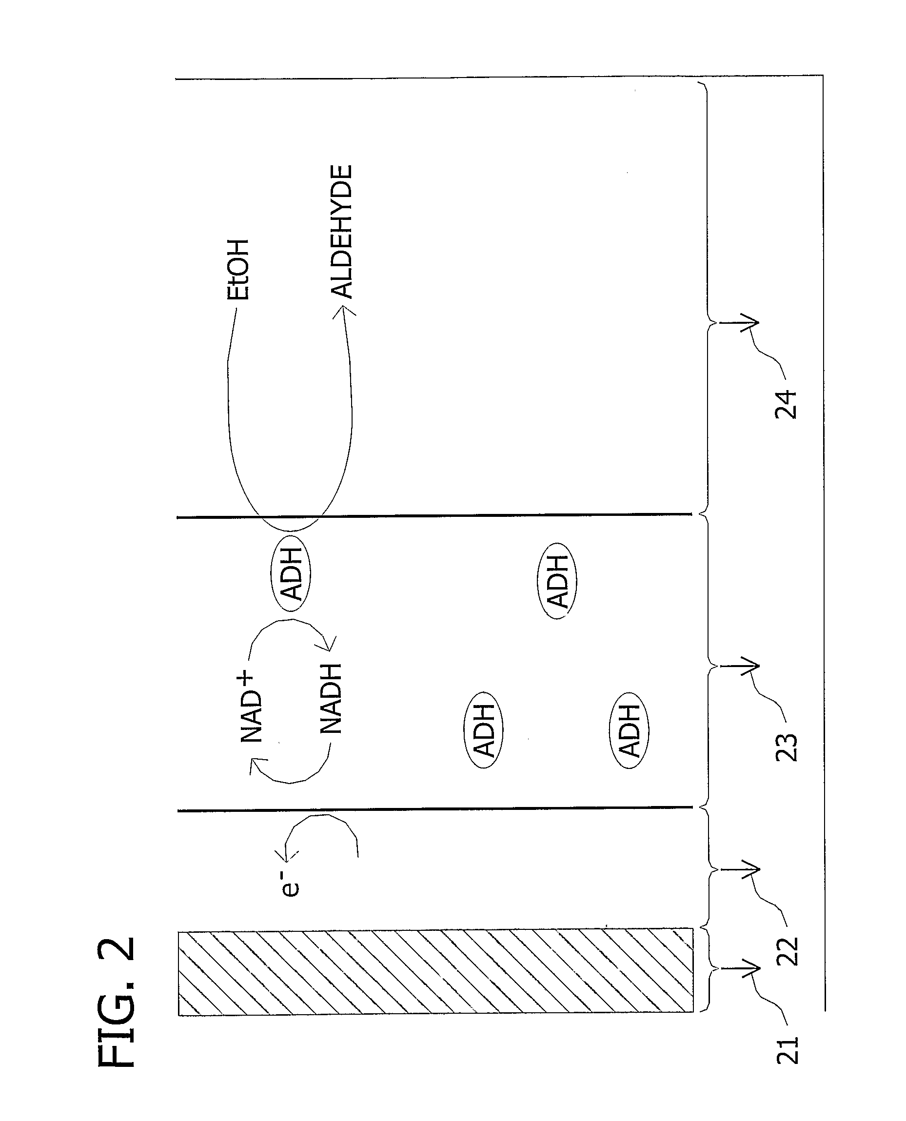 Microfluidic biofuel cell