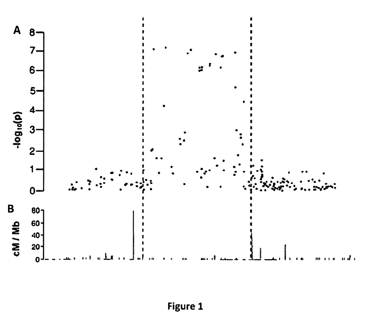 Asthma susceptibility loci located at chromosome 1q31 for use in diagnostic and therapeutic methods