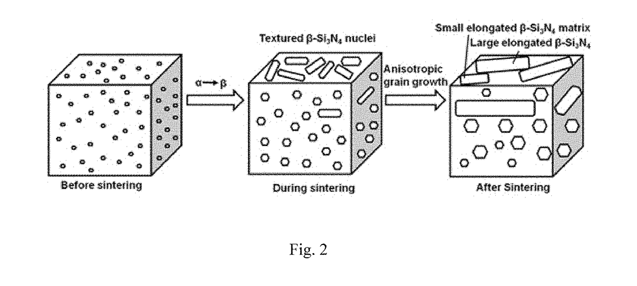 Method of making textured ceramics