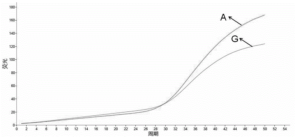 Cell lysis solution for rapid gene detection