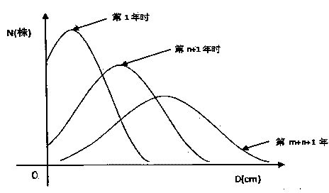 Forest stand growth modeling method based on relation model