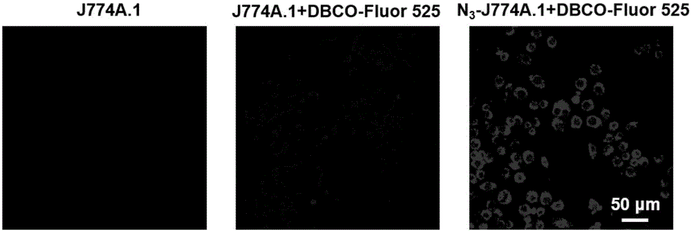 Antibody-coupled bionic immune magnetic sphere and preparation method thereof