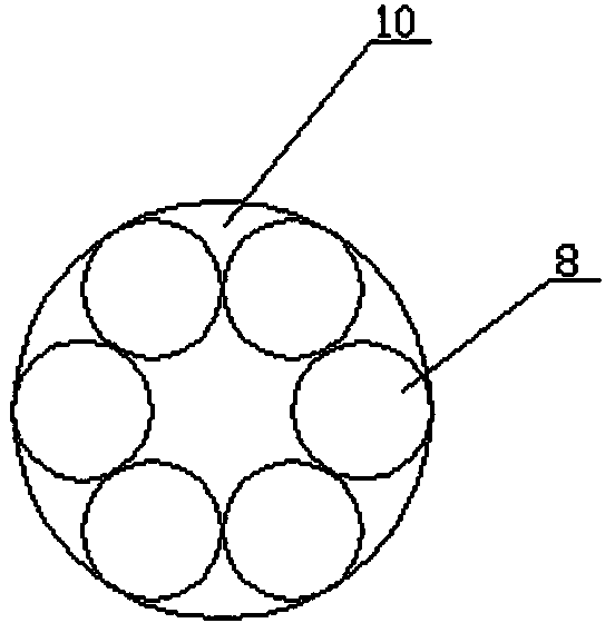 Screw sorting device