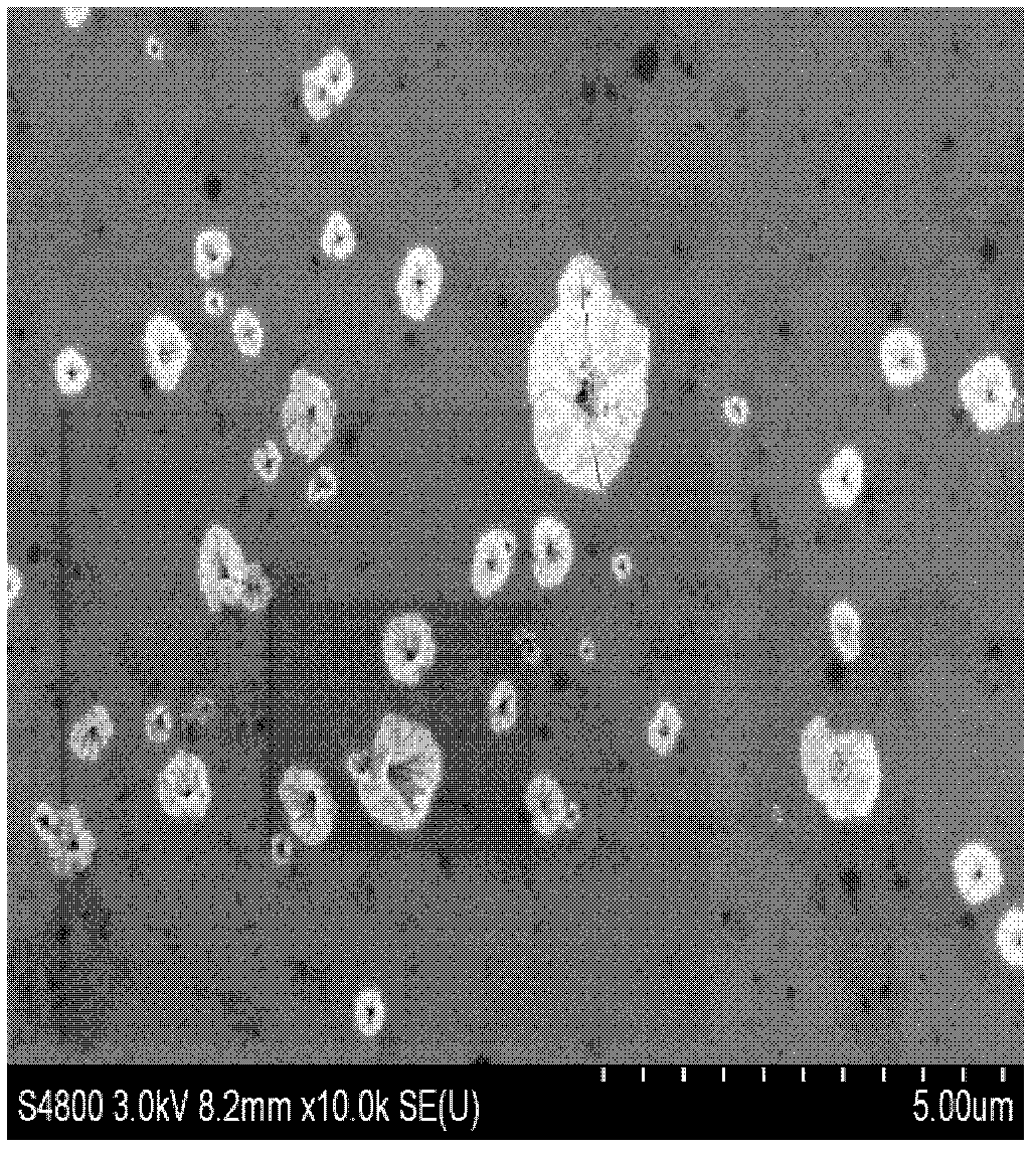 Horseradish peroxidase-trumpet flower-shaped zinc phytate-glassy carbon electrode electrochemical biosensor and construction method thereof