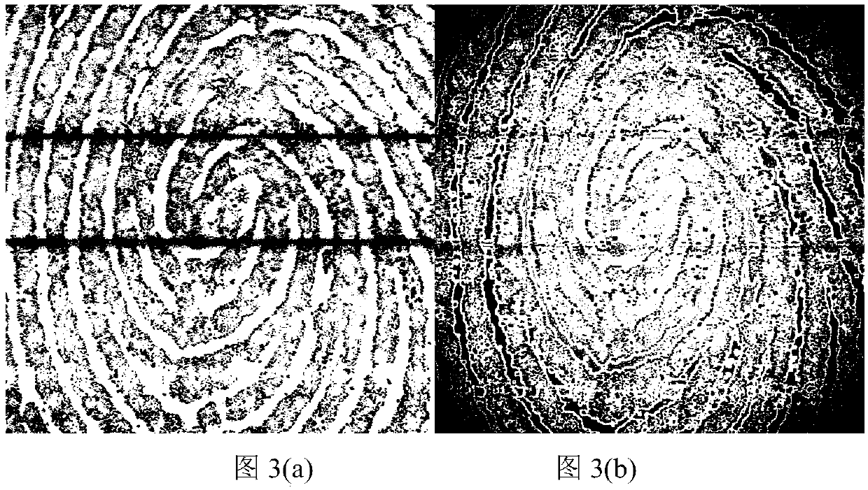 Latent fingerprint label-free Stokes parameter polarized confocal microimaging system and method