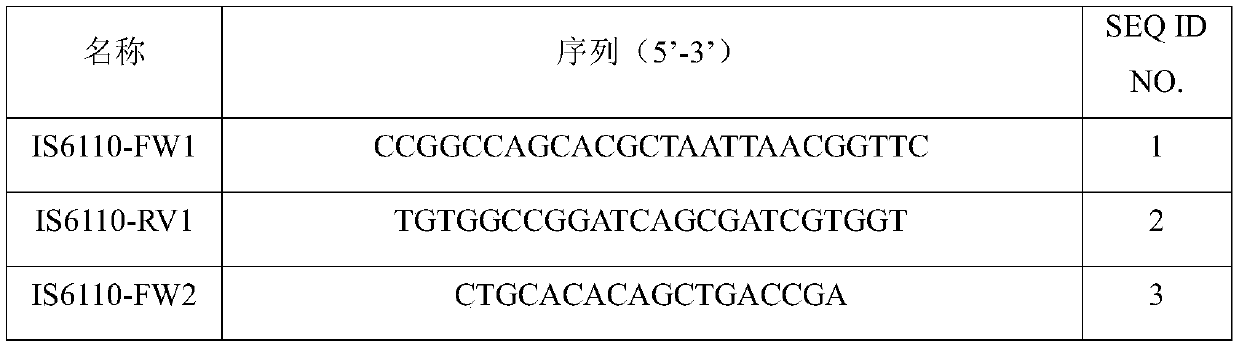 Tubercle bacillus drug tolerance detection reagent kit and tubercle bacillus drug tolerance detection method