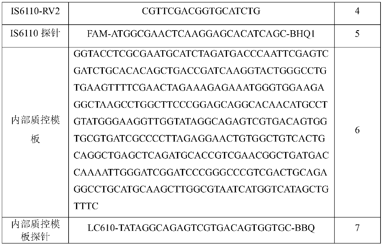 Tubercle bacillus drug tolerance detection reagent kit and tubercle bacillus drug tolerance detection method