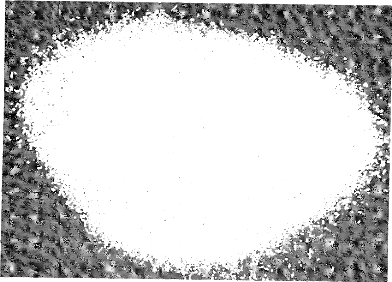 Calcium sulfite particles and preparation method