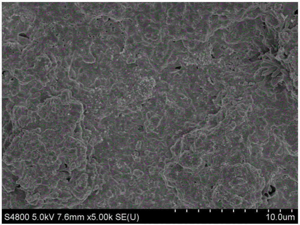 Method for preparing copper-zinc-tin-sulfur film