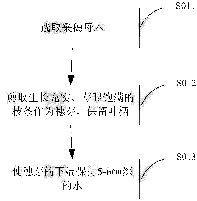 Grafting method of improved inferior fruit tree