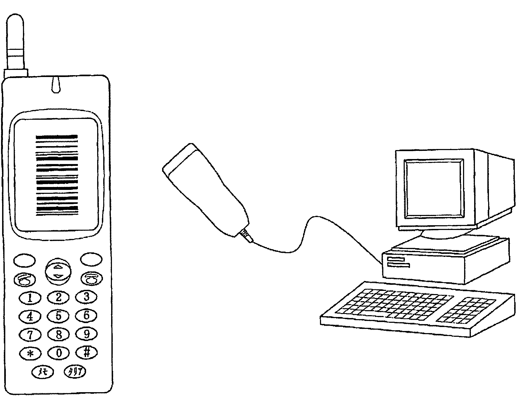 Dynamic bar code display apparatus, dynamic bar code generation method, and storage medium generation dynamic bar code