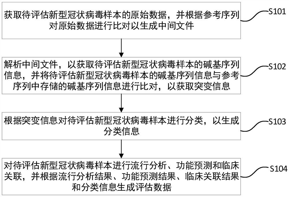 Novel coronavirus sample base mutation automatic assessment method