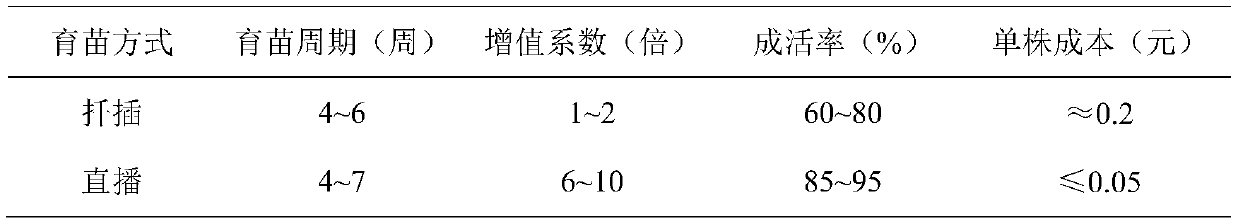 Substrate suitable for simple direct seeding seedling cultivation of sedum plumbizincicola and direct seeding seedling cultivation method