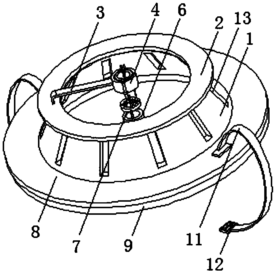 Drainage fixing protection apparatus for thoracic surgery treatment