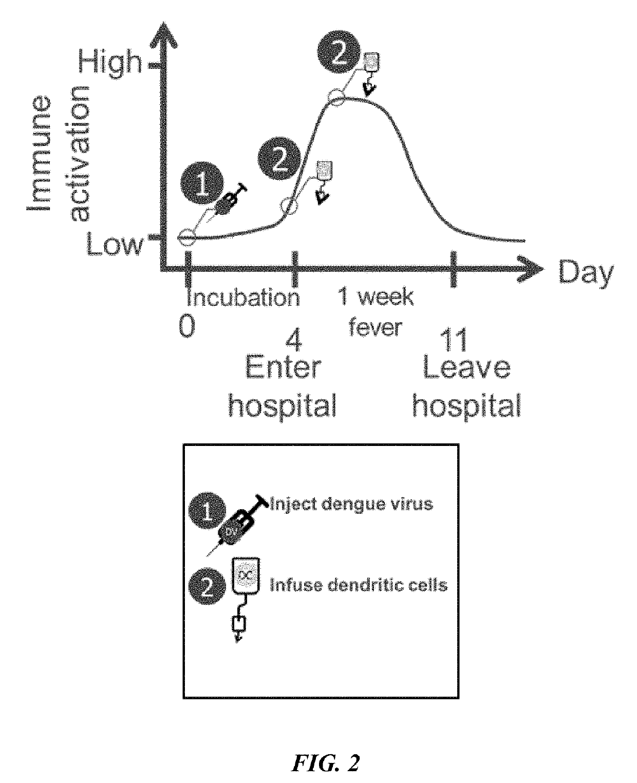 Combination immunotherapies for treatment of cancer