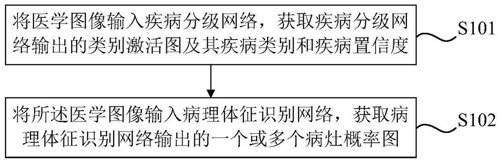 Medical image recognition method, device and equipment and storage medium