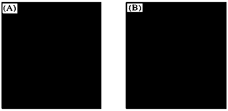 Magnetic fluorescent double-function nanocomposite and preparation method thereof