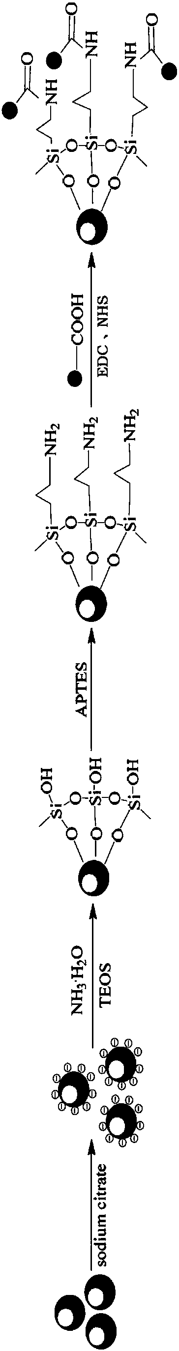 Magnetic fluorescent double-function nanocomposite and preparation method thereof