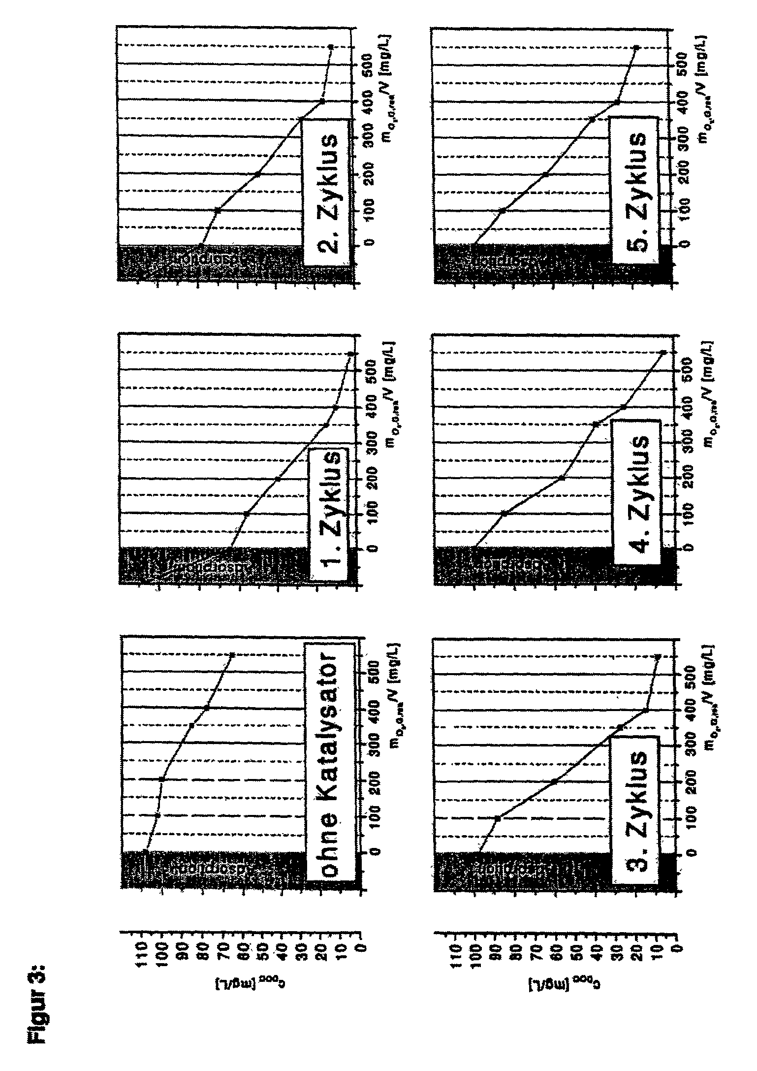 Process for the conditioning of polluted water