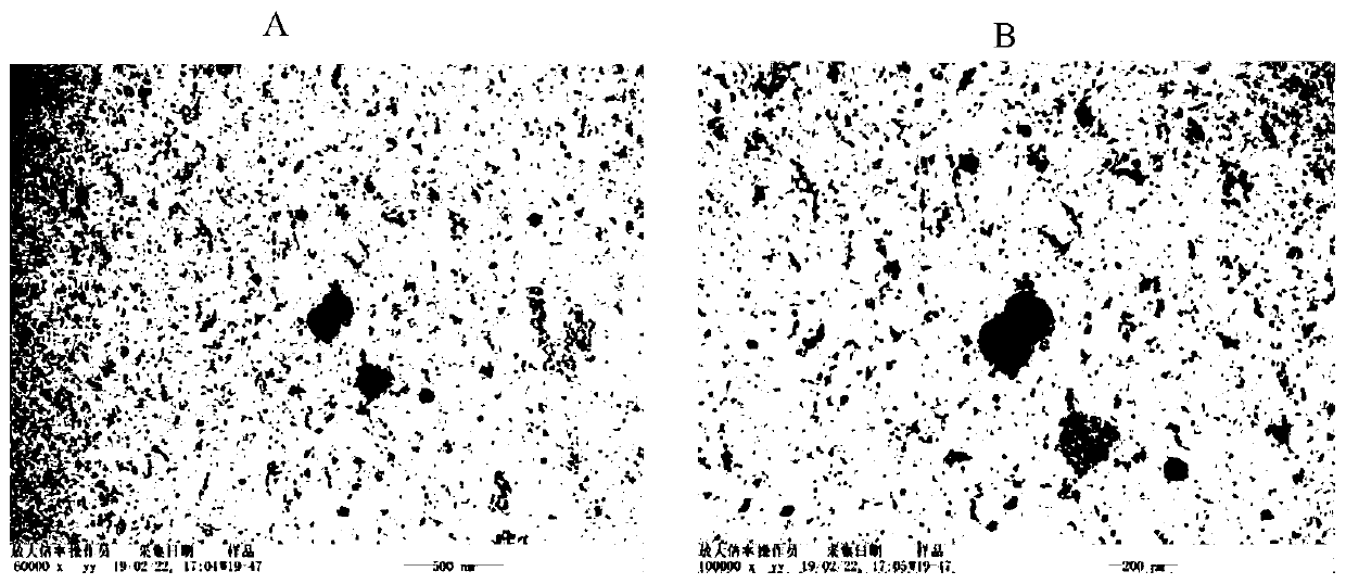 Preparation method of human skin stem cell factor nano-liposome-exosome complex