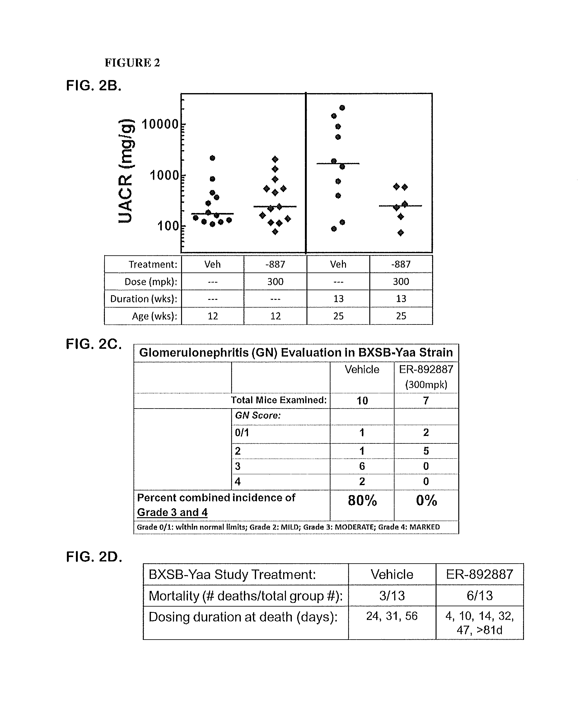 Tetrahydropyrazolopyrimidine compounds