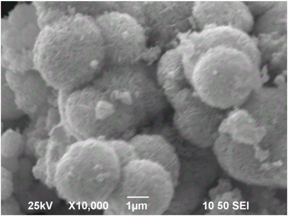 Bismuth tungstate-bismuth molybdate heterojunction photocatalytic material, method for preparing same and application of bismuth tungstate-bismuth molybdate heterojunction photocatalytic material