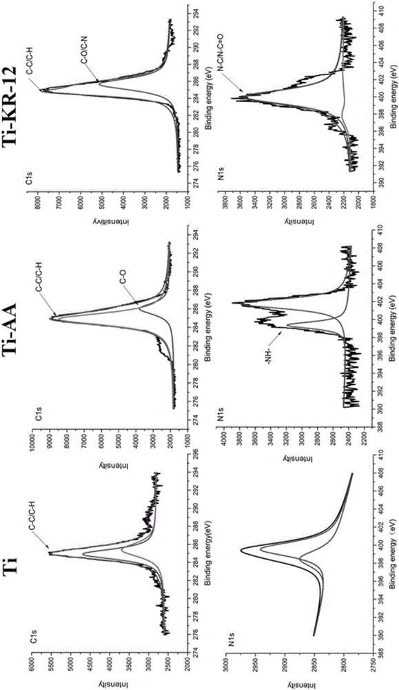 Infection preventing and osteoblast differentiation promoting antibacterial peptide modified titanium alloy prosthesis and making method thereof