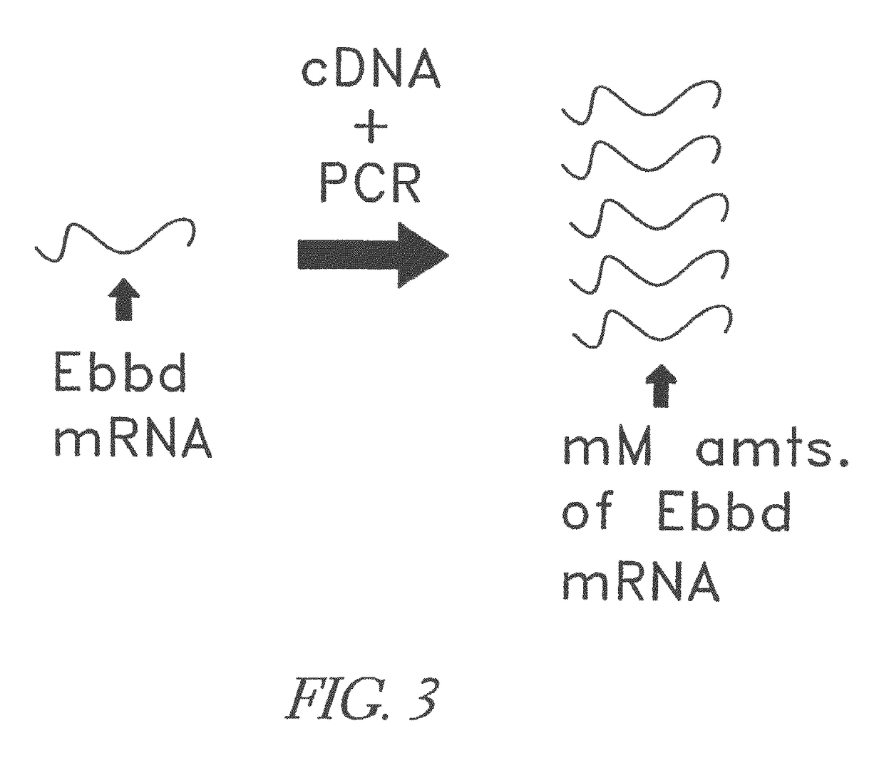 Modular targeted therapeutic agents and methods of making same