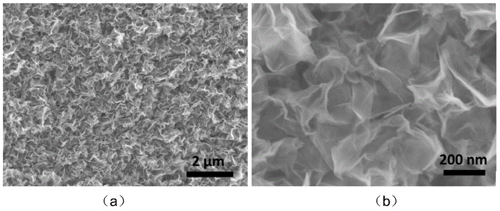 Method for synthesizing monolayer manganese dioxide nanosheet by one step