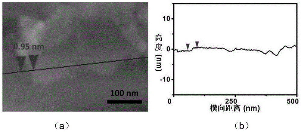 Method for synthesizing monolayer manganese dioxide nanosheet by one step