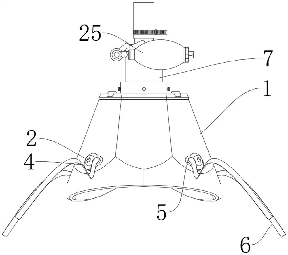 Urine collector for patient subjected to local anesthesia operation