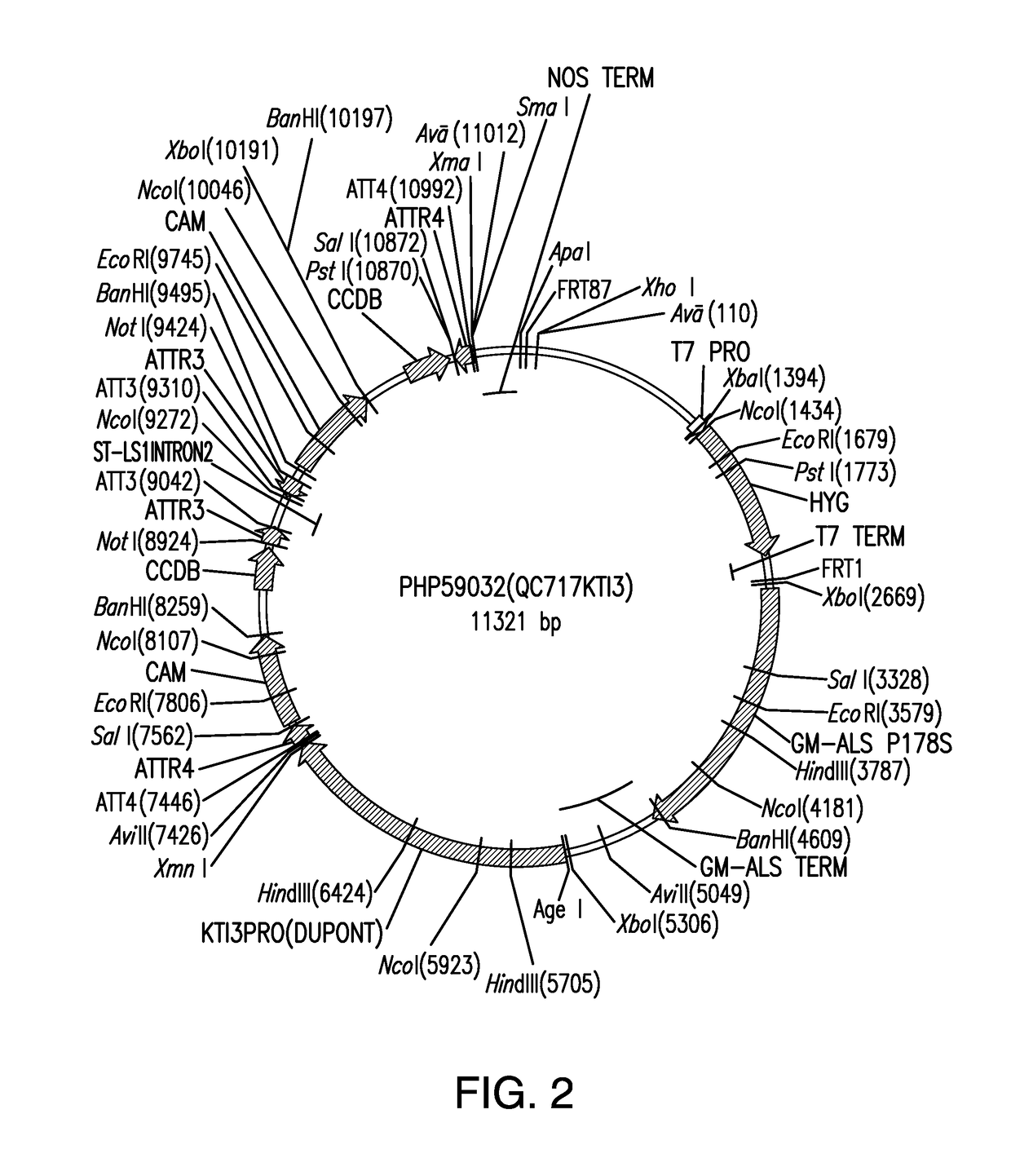 Compositions and methods for insecticidal control of stinkbugs