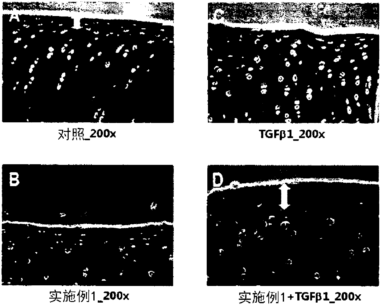 Novel peptide and use thereof