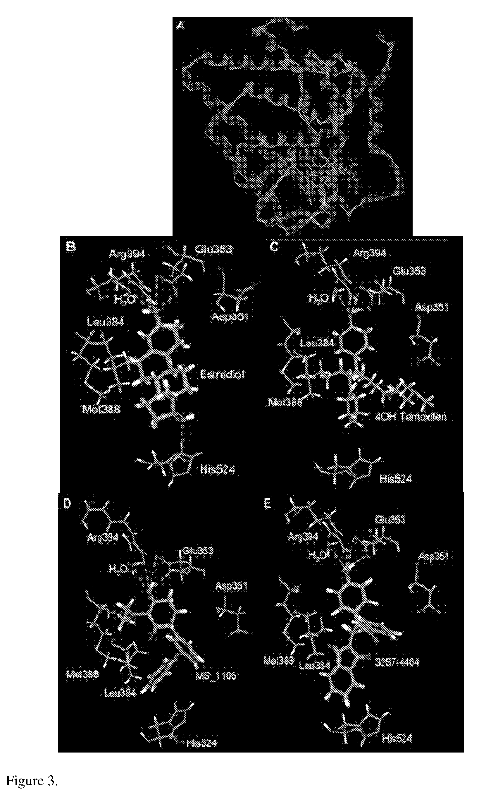 Estrogen receptor modulators and uses thereof