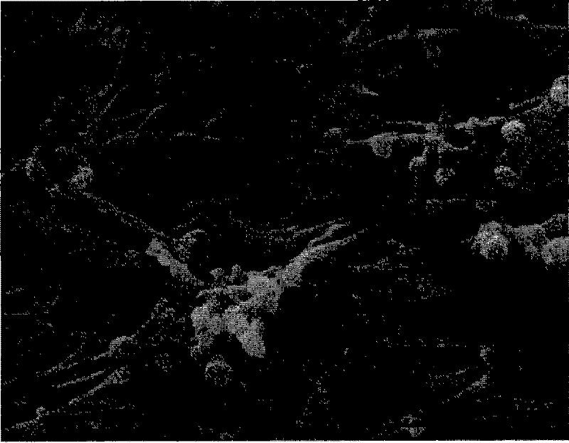 Stretched polyimide porous membrane, preparation method and lithium ion battery thereof