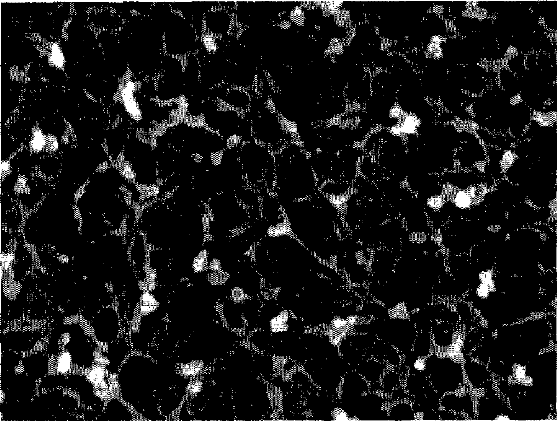 Stretched polyimide porous membrane, preparation method and lithium ion battery thereof