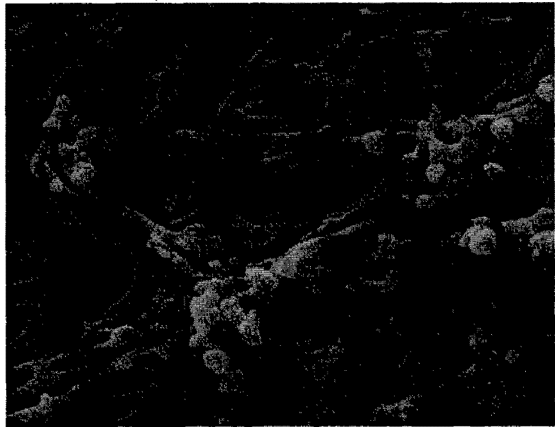 Stretched polyimide porous membrane, preparation method and lithium ion battery thereof