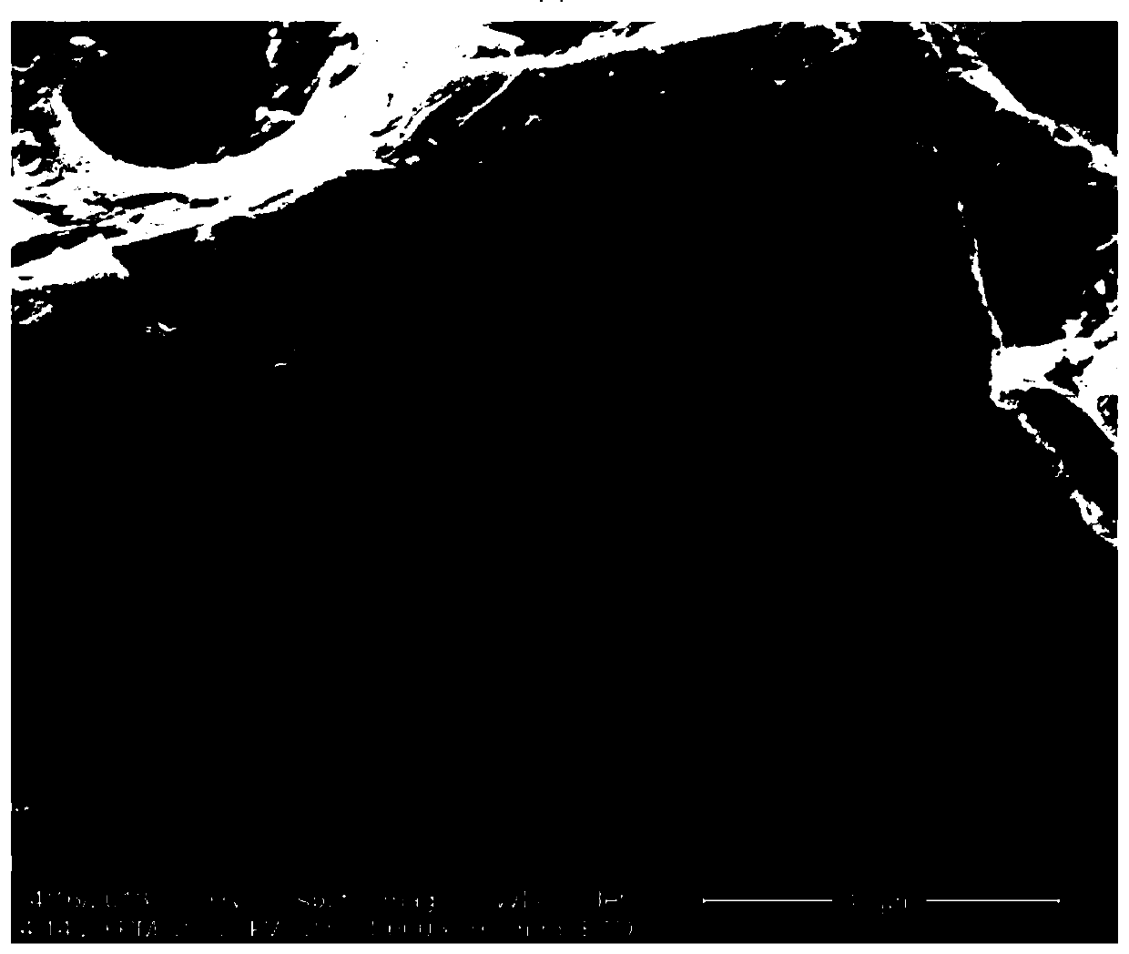 Method for preparing ligustrum lucidum biological activated charcoal