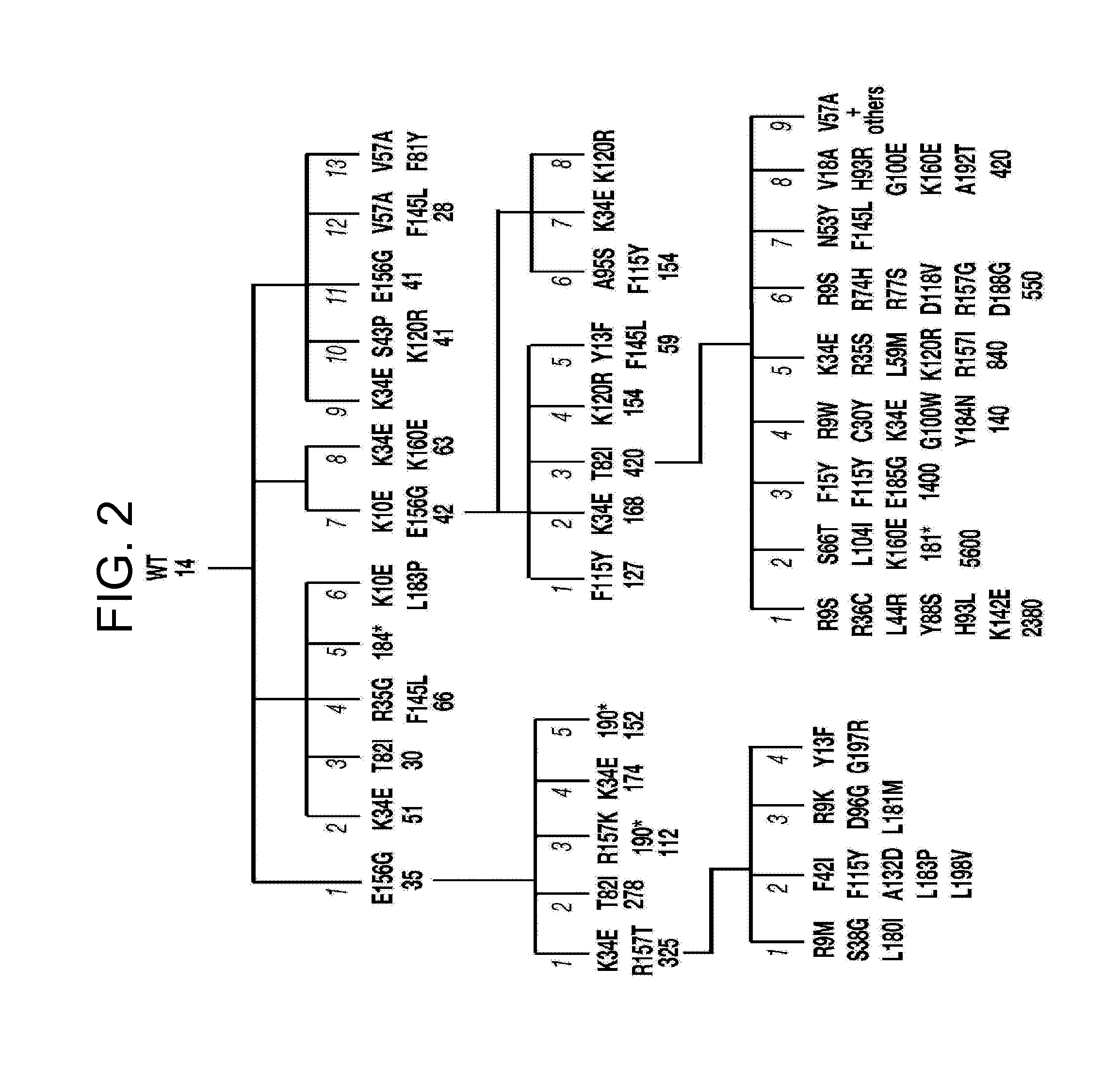 Mutants of activation-induced cytidine deaminase (AID) and methods of use