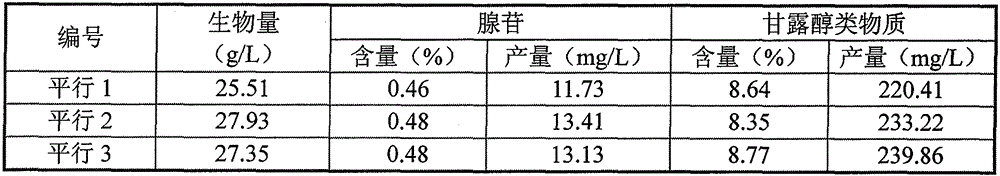 Paecilomyces hepialid strain capable of realizing high yield of adenosine and mannite type substances and application