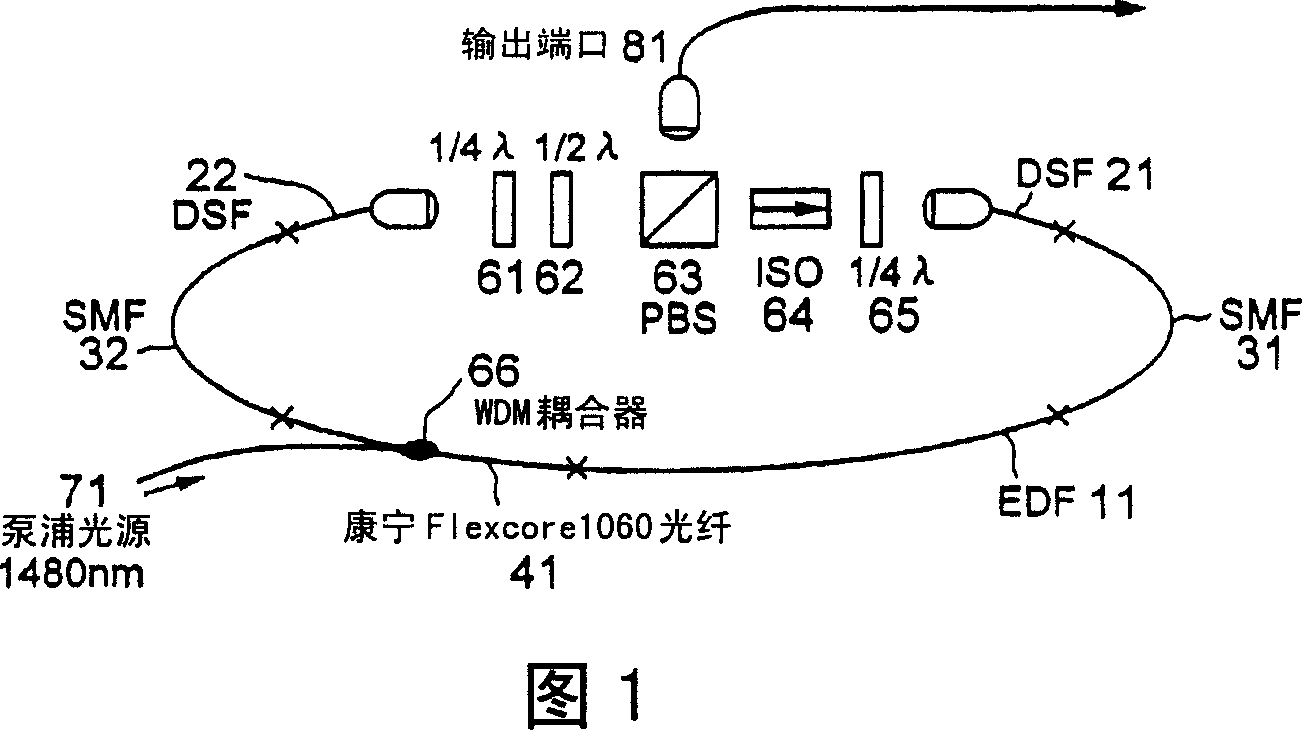 Optical fiber laser using rare earth-added fiber and wide band light source