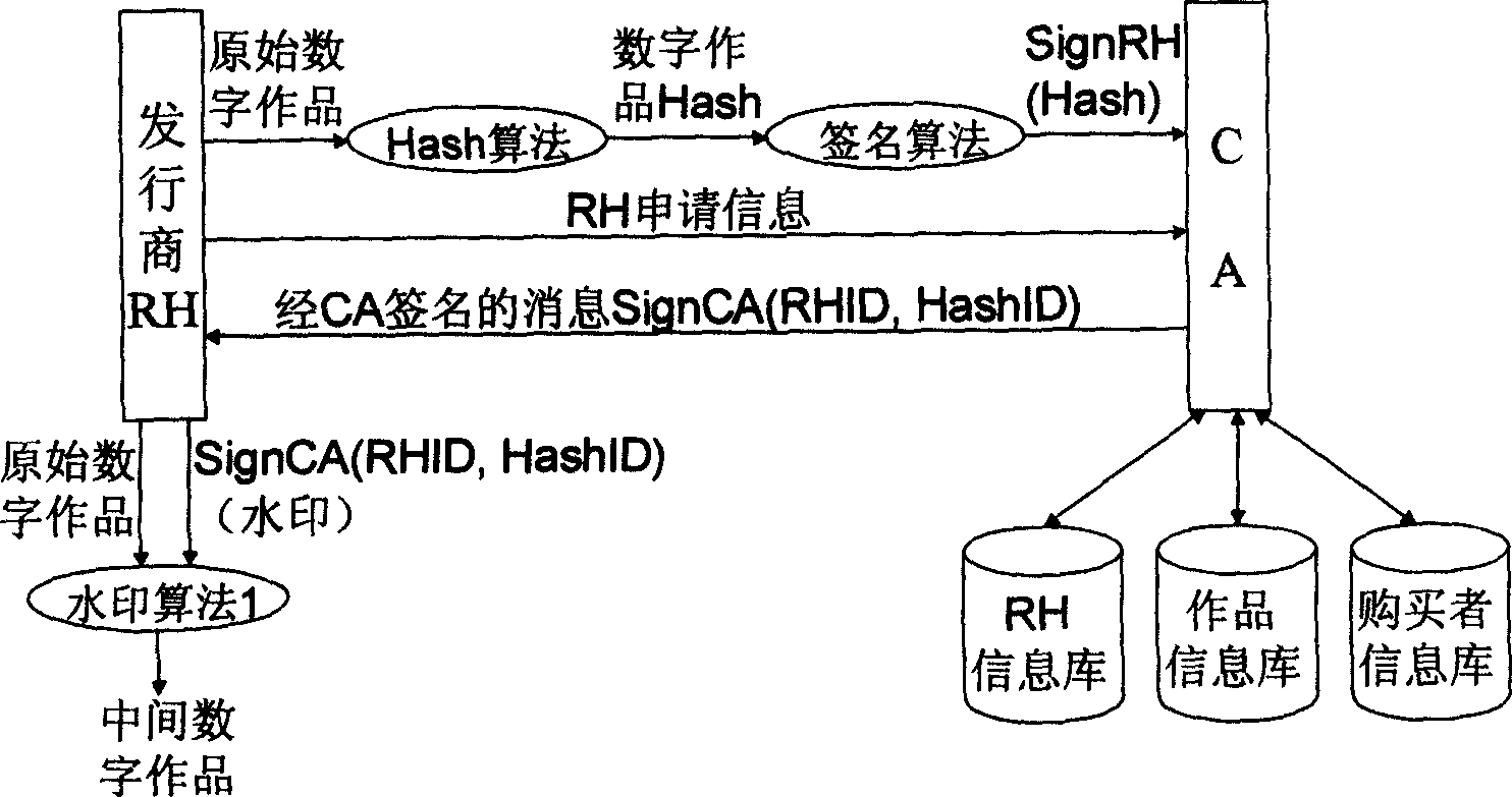 Digital watermarking infrastructure