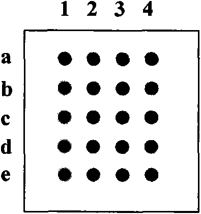 Preparation and application of vaccine immunity effect evaluation protein chip